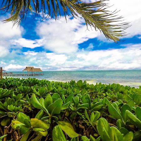 Punta Me Beach Suites Cancun Dış mekan fotoğraf
