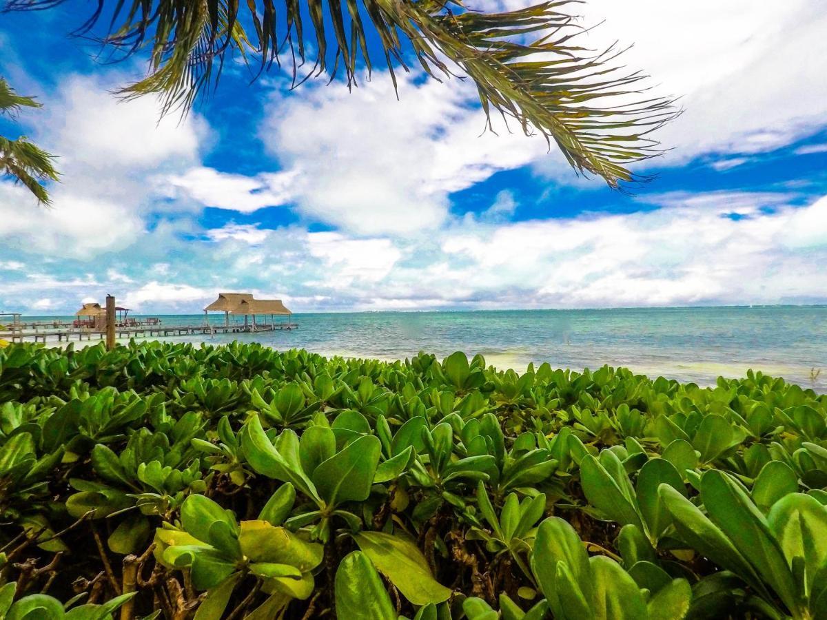 Punta Me Beach Suites Cancun Dış mekan fotoğraf