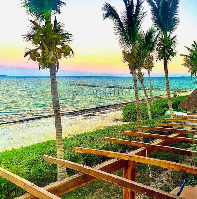 Punta Me Beach Suites Cancun Dış mekan fotoğraf